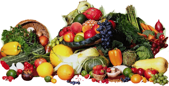 legumes_petit_primeur